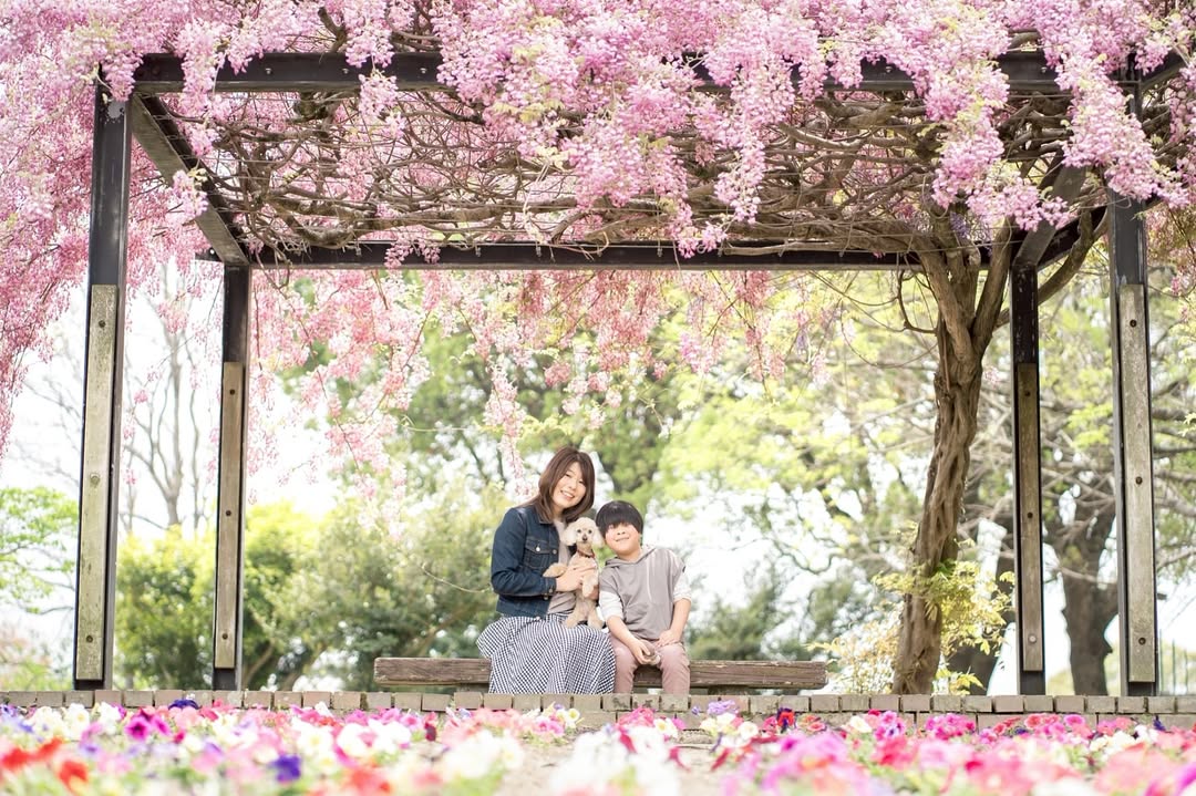 讓每一聲笑都成為回憶:Yumie 岡山家庭攝影