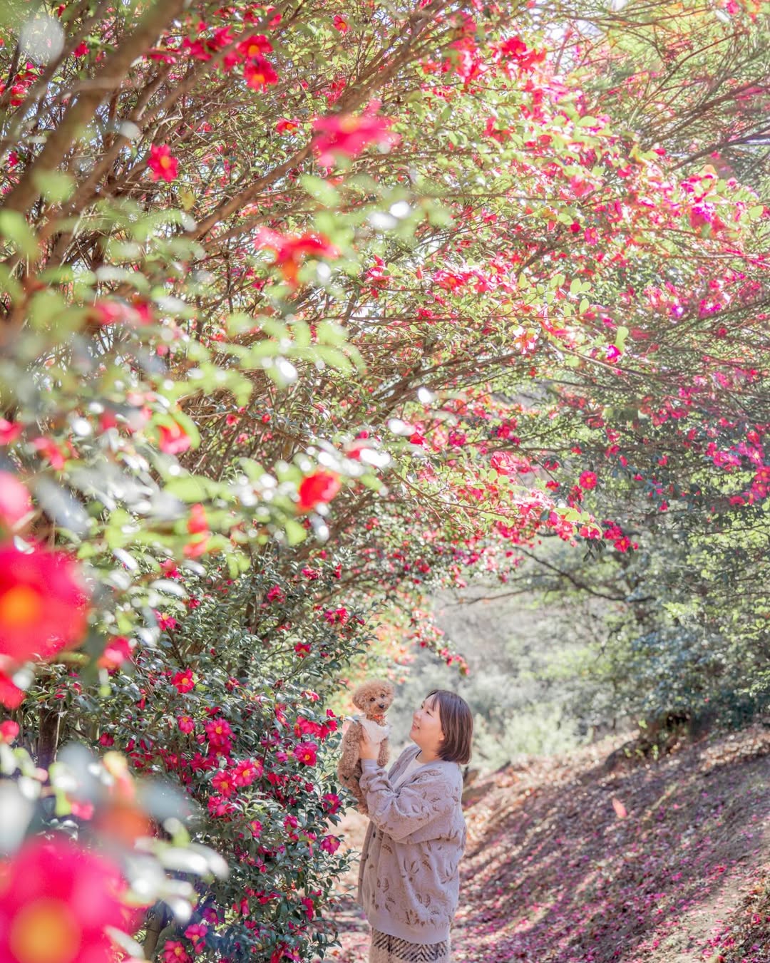 小小腳印與燦爛笑容的相遇:Mii 岡山家庭與寵物攝影