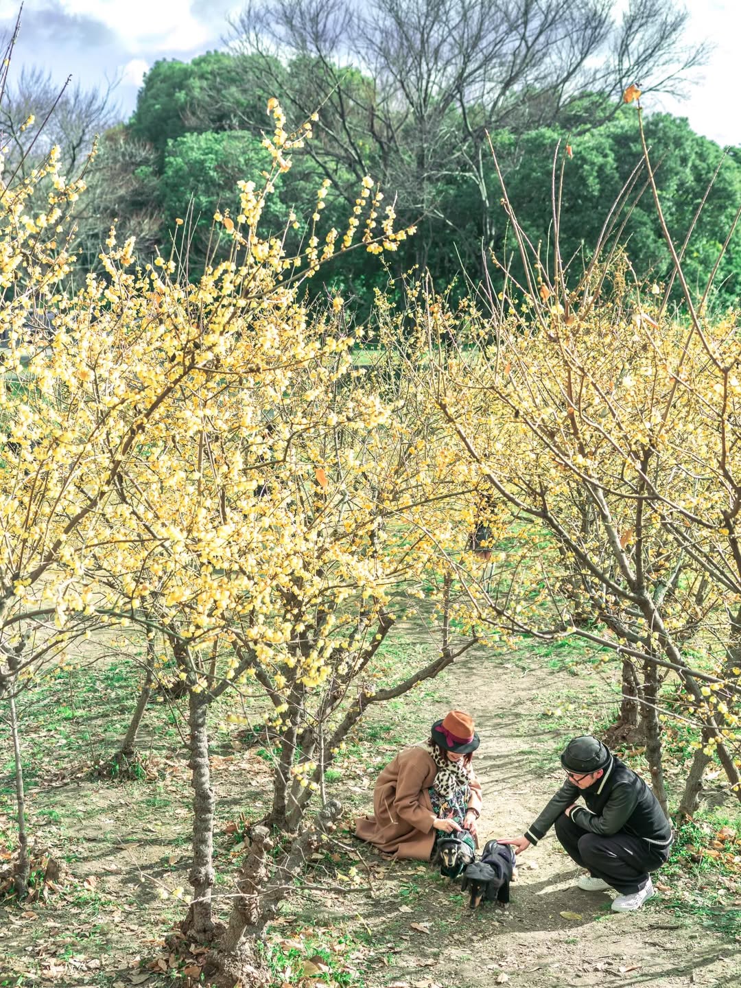 萌力全開!來名古屋讓Leaf 拍出竉物最可愛的一面