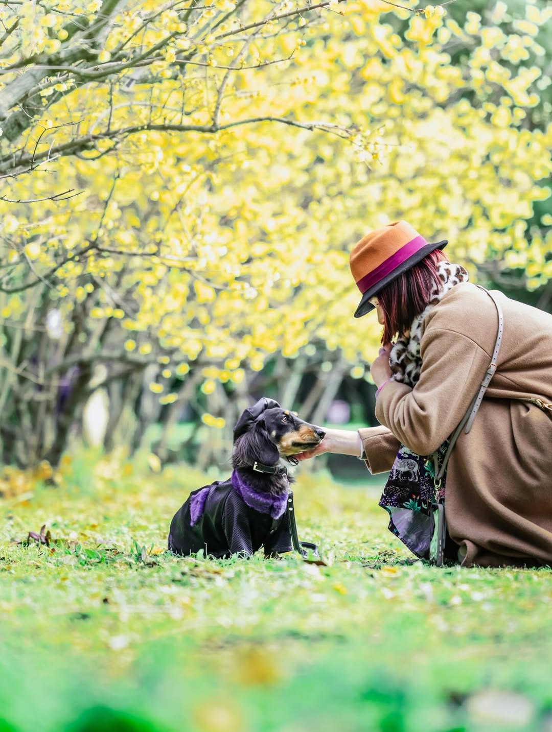 萌力全開!來名古屋讓Leaf 拍出竉物最可愛的一面