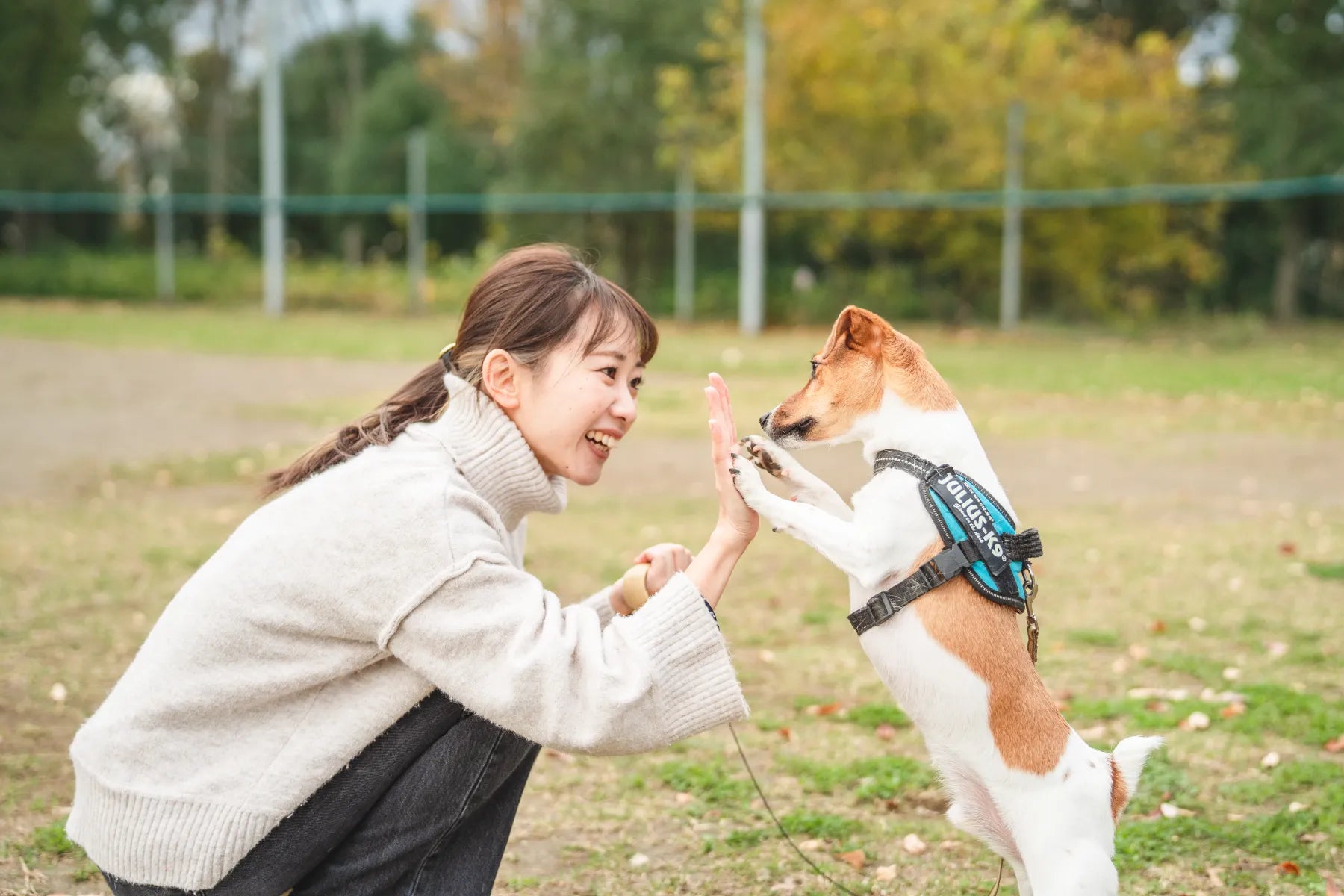 動物護理出身的Chika 在東京捕捉溫馨寵物時光