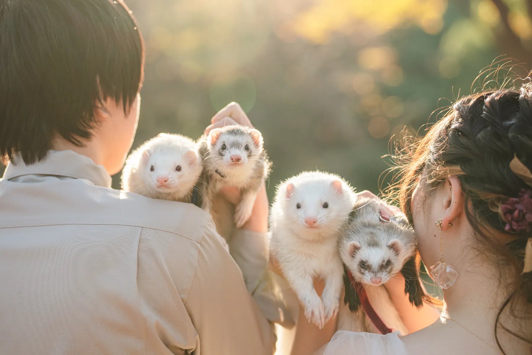 動物護理出身的Chika 在東京捕捉溫馨寵物時光