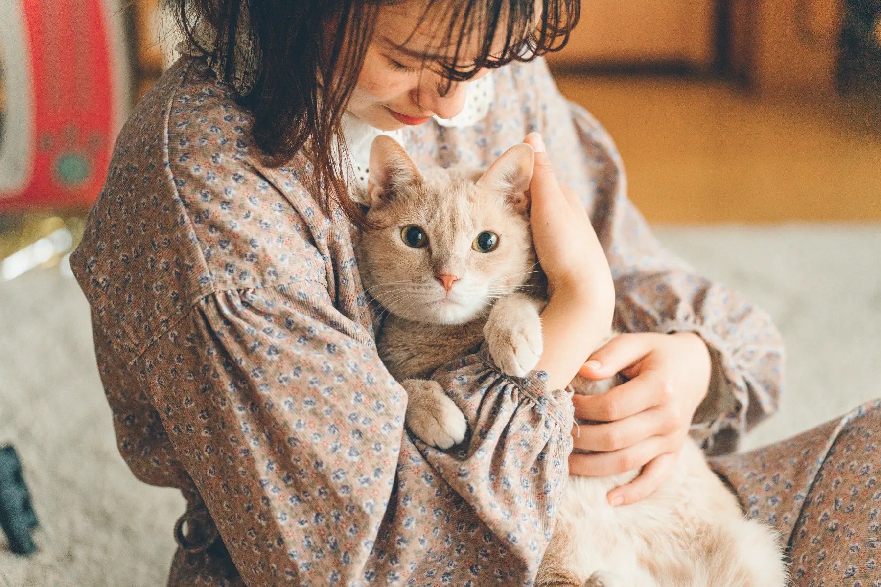 動物護理出身的Chika 在東京捕捉溫馨寵物時光