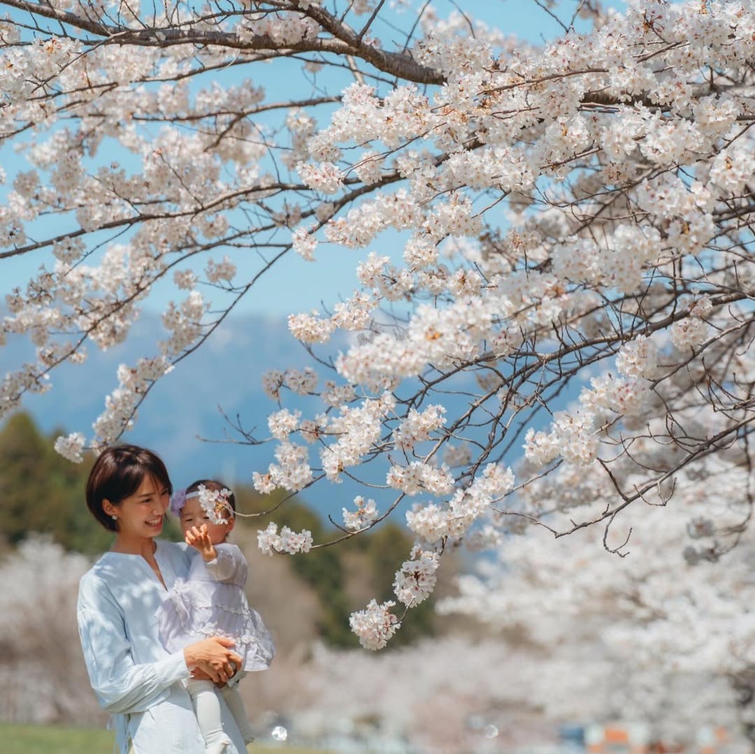城市與海的邂逅 : Daisu 在四日市紀錄你的家庭溫柔時光