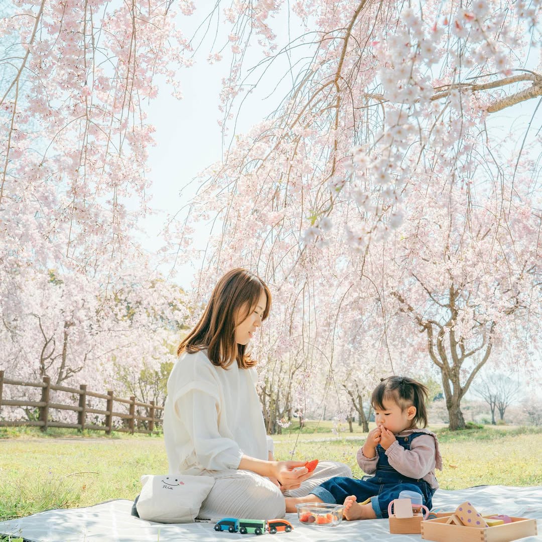 城市與海的邂逅 : Daisu 在四日市紀錄你的家庭溫柔時光