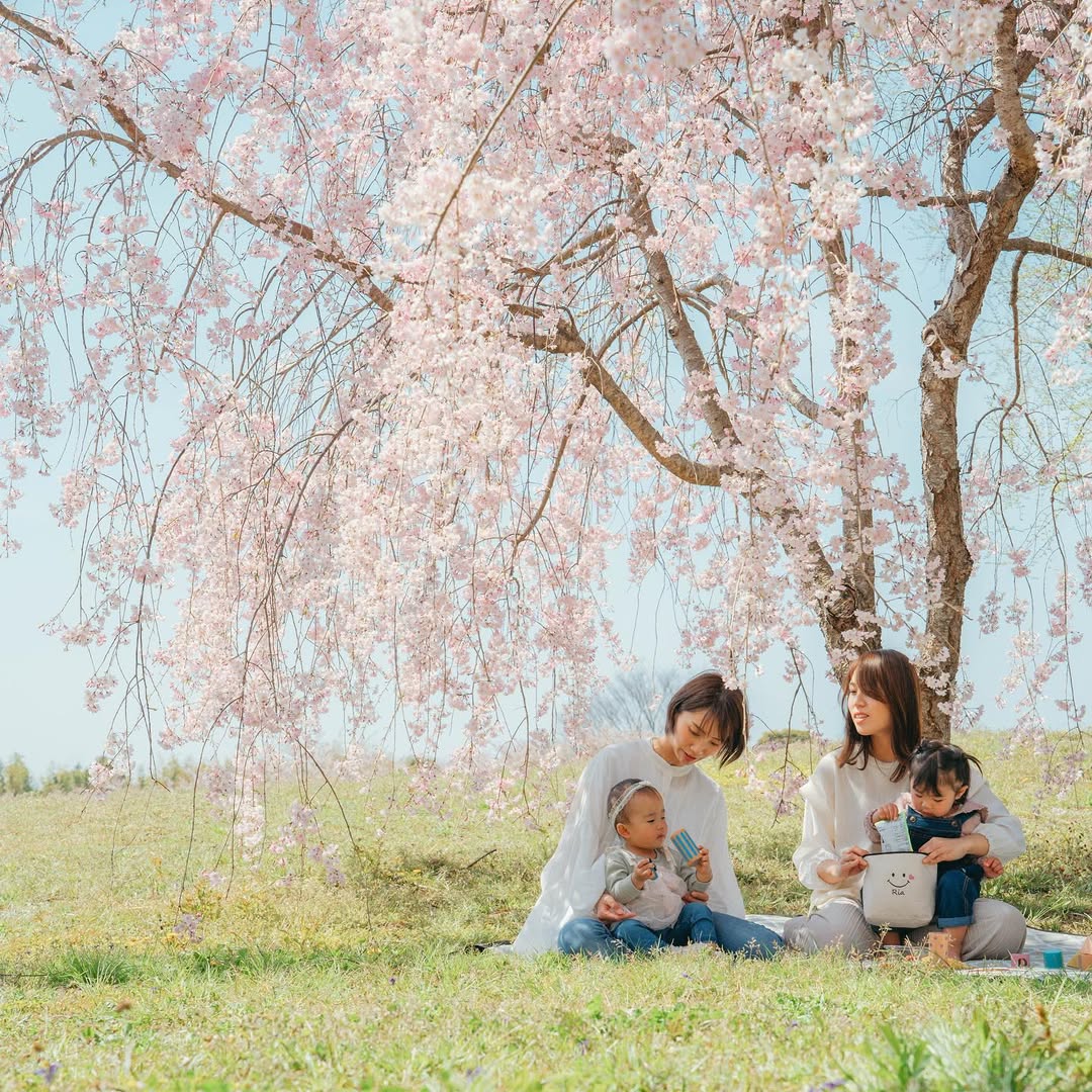 城市與海的邂逅 : Daisu 在四日市紀錄你的家庭溫柔時光