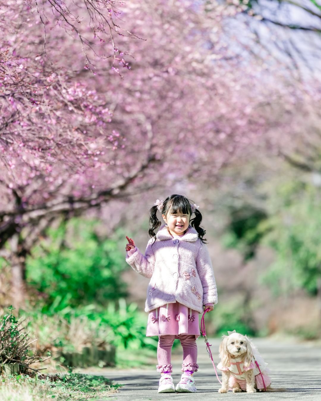 萌力全開!來名古屋讓Leaf 拍出竉物最可愛的一面