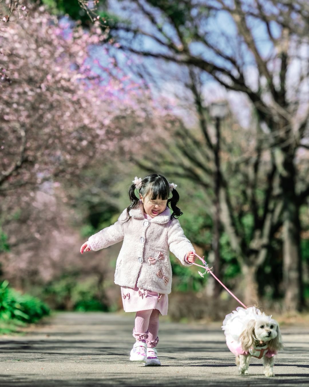 萌力全開!來名古屋讓Leaf 拍出竉物最可愛的一面