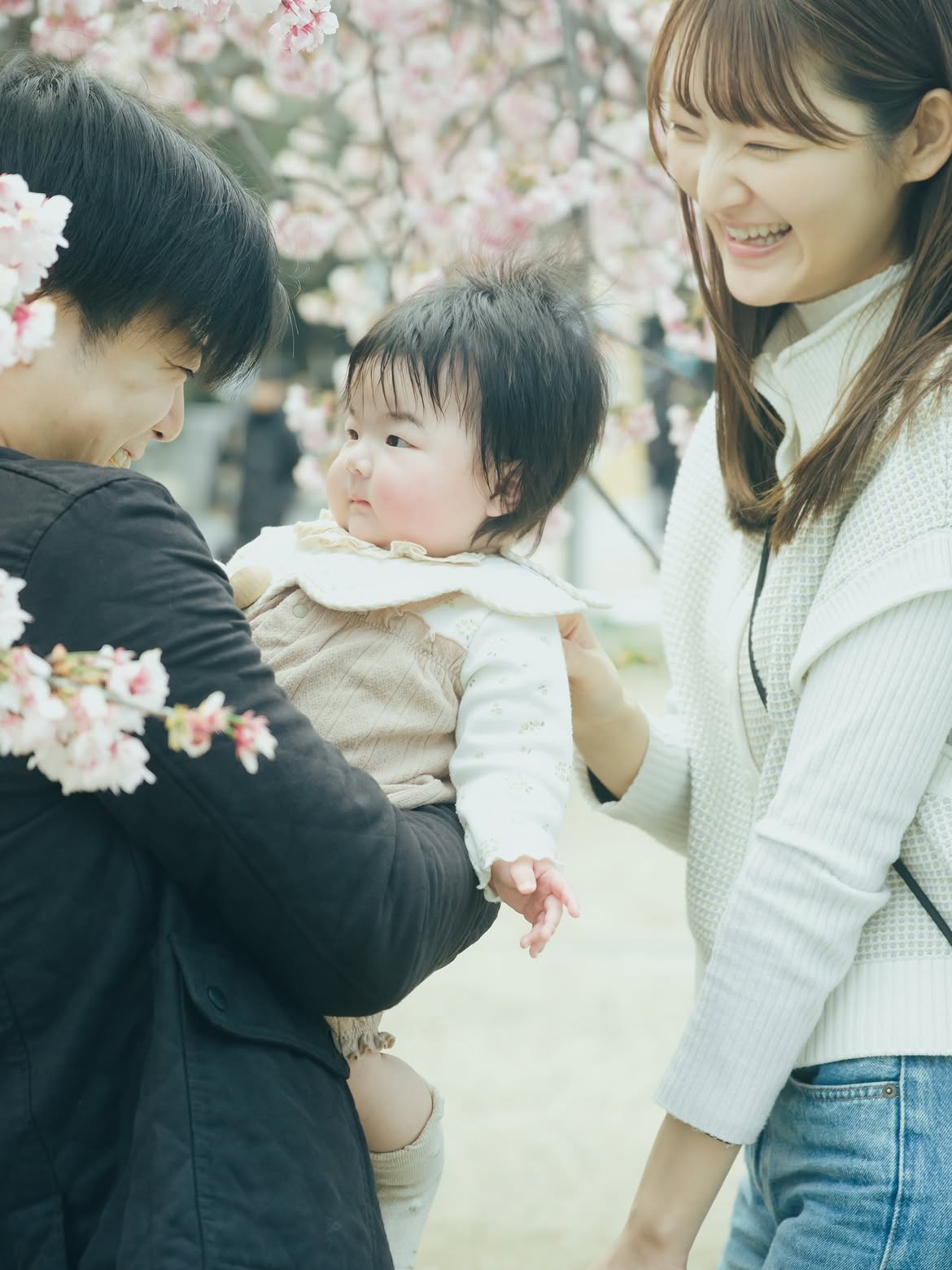 在京都牽著彼此的手一起探索:Kawachi 記錄家人與毛孩的美好時光
