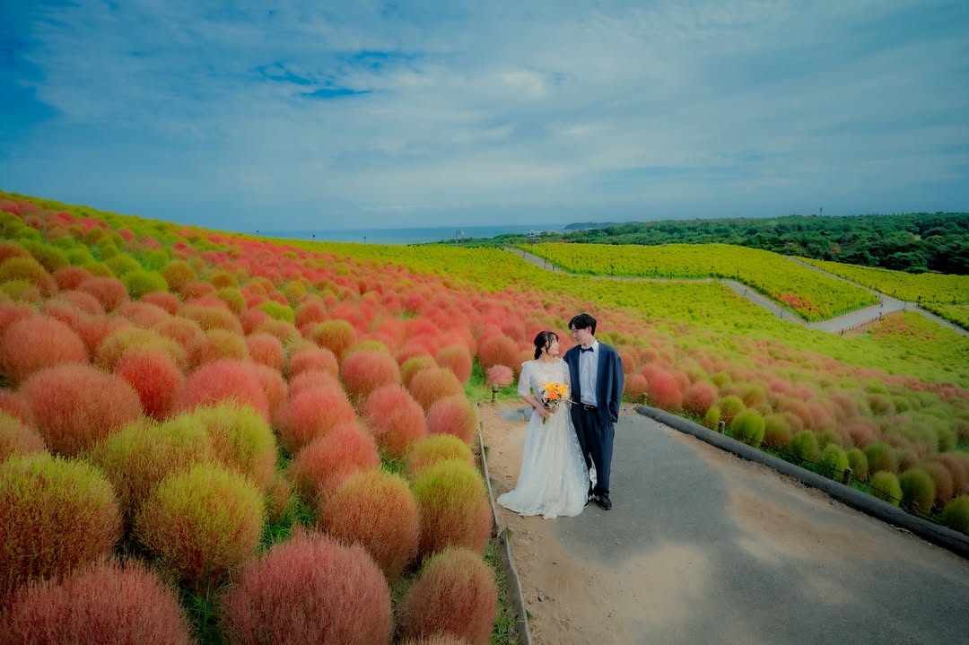 在仙台,大聲說愛妳:Uki求婚拍攝體驗