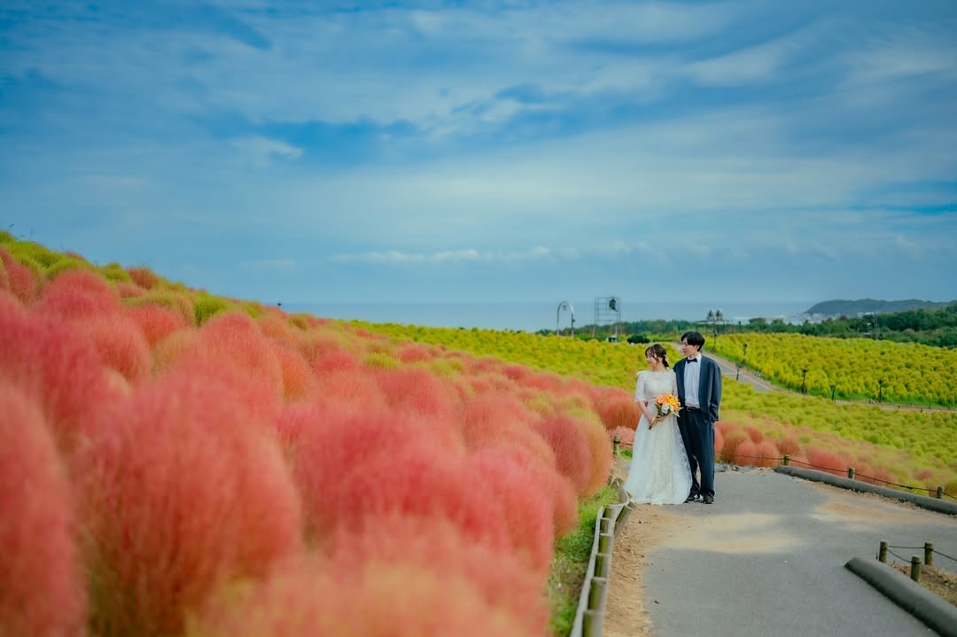 在仙台,大聲說愛妳:Uki求婚拍攝體驗