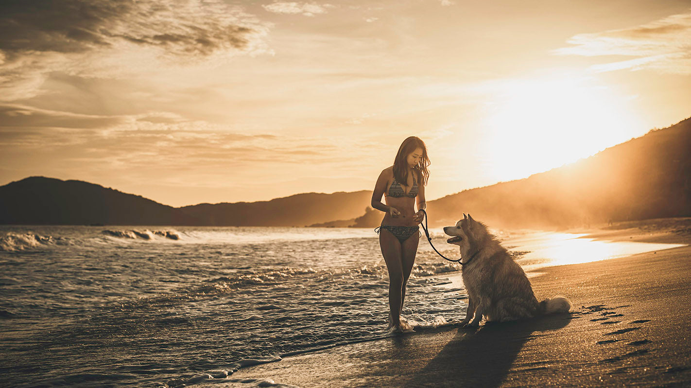 Outdoor Animal Photography Japan | Animal Photographer Japan