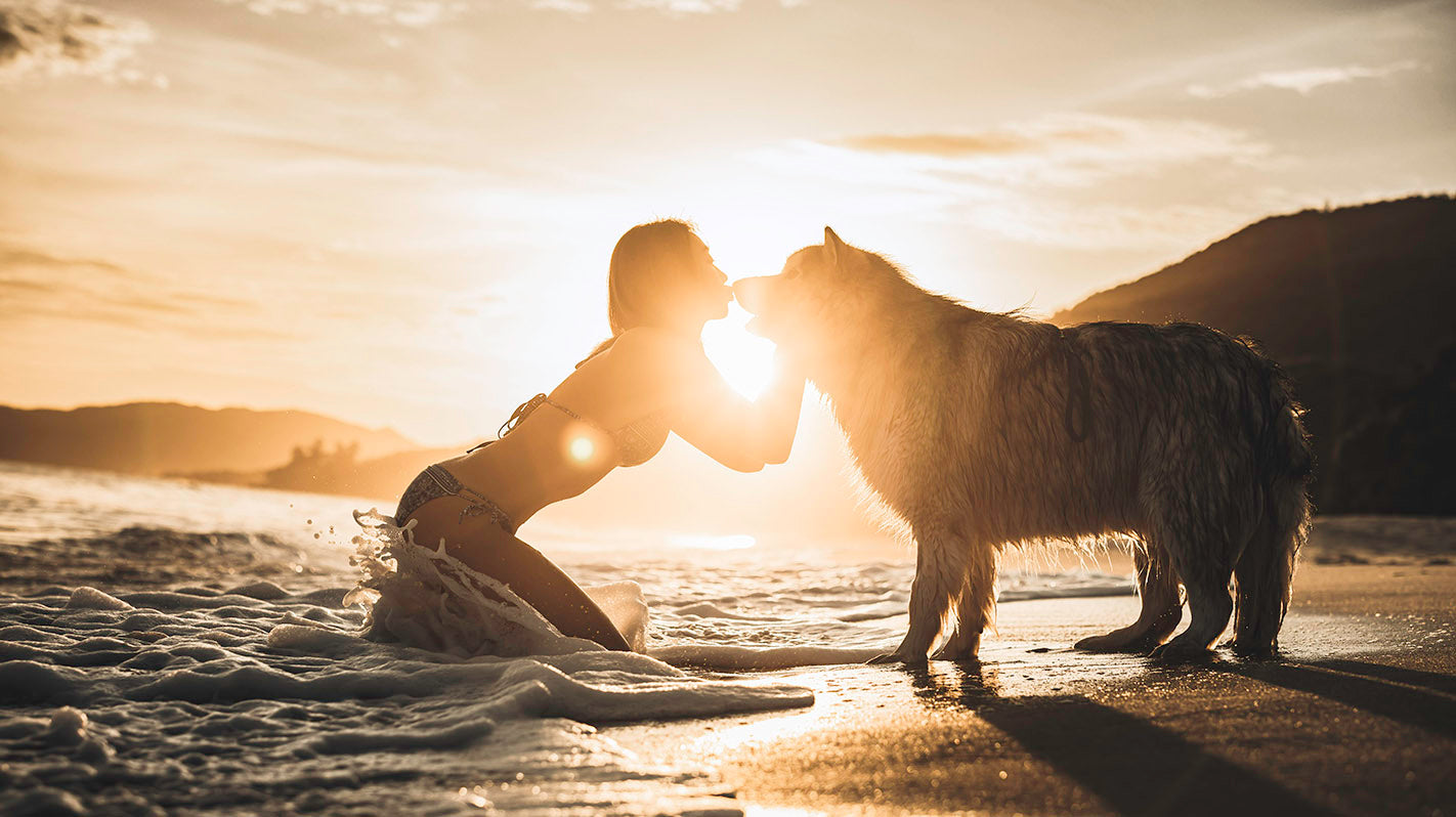 Outdoor Animal Photography Japan | Animal Photographer Japan