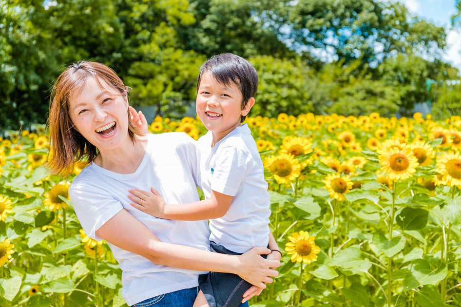 🌻 期間限定！日本向日葵花期地圖