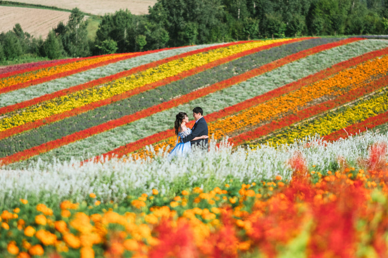 北海道浪漫婚紗攝影：Takenaka捕捉你的愛情故事