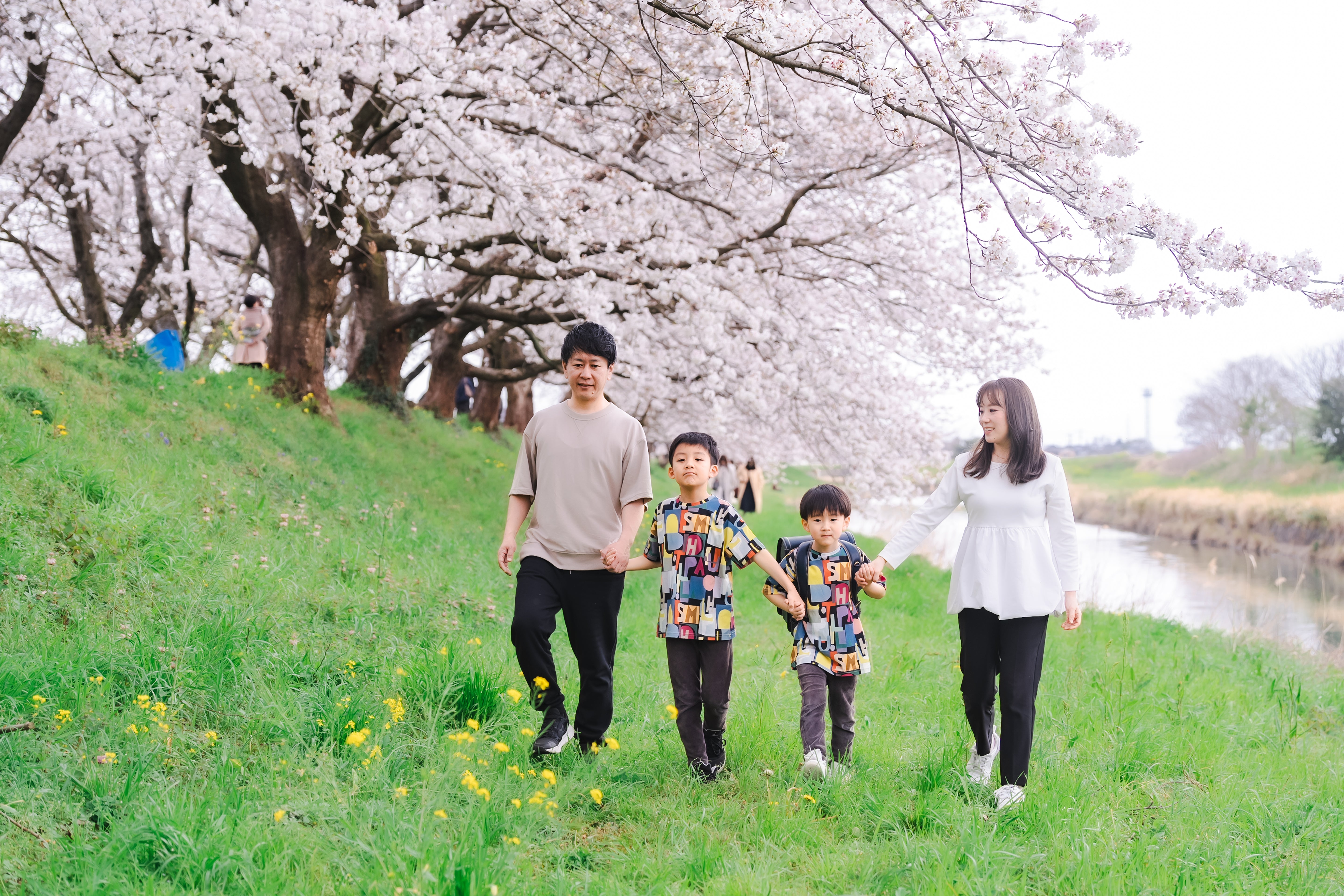 櫻花盛開的福岡時光：與 Ishii 一起留下家庭回憶