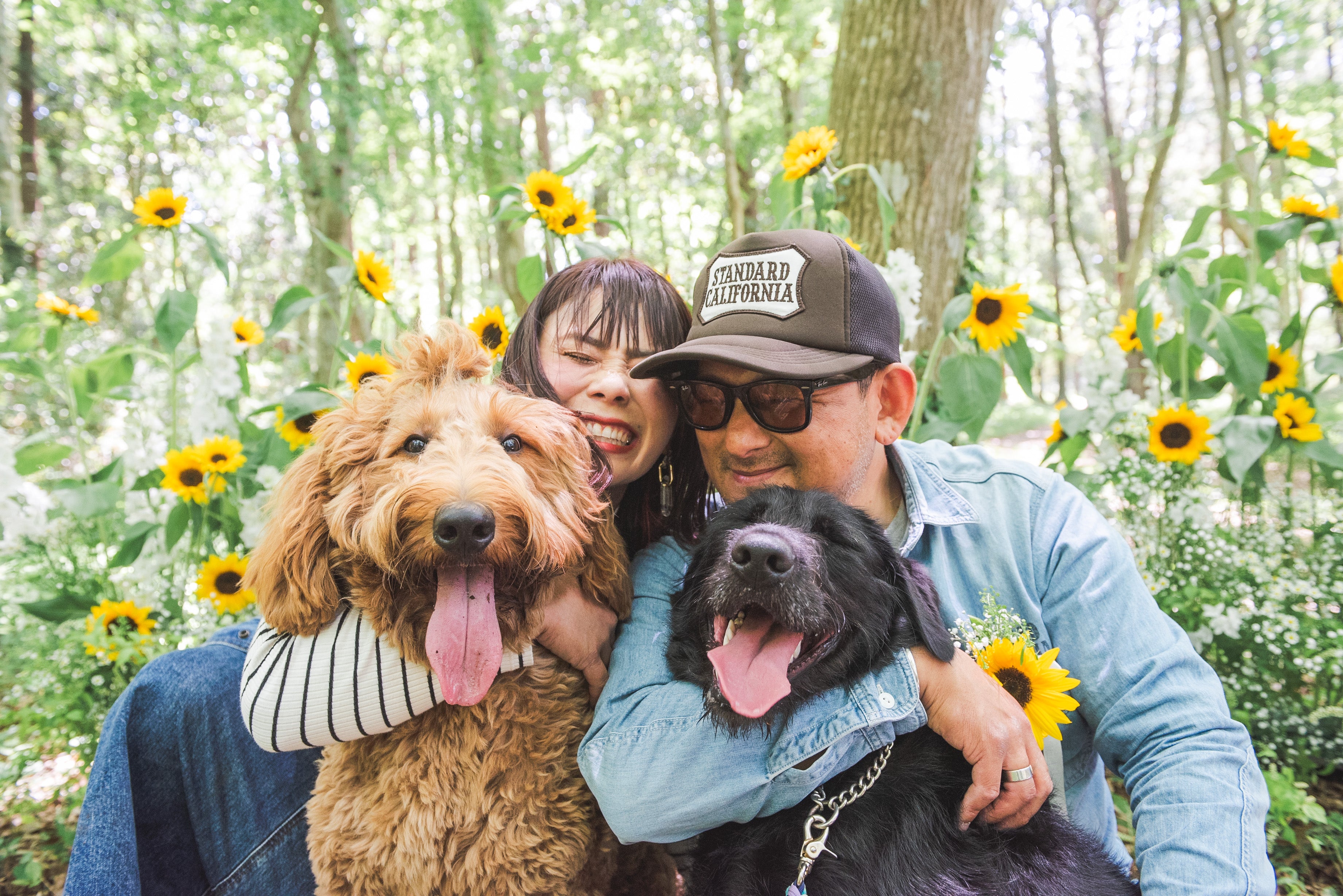 Yama寵物攝影：捕捉東京愛的腳印