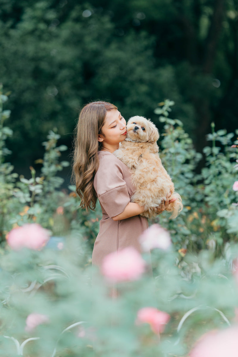 櫻緣｜河口湖春日｜與愛犬賞櫻人像 | Family Pet Photography at Lake Kawaguchi | Embrace the Joys of Spring