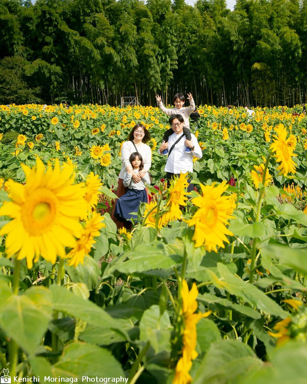 福岡花季攝影 | 日本家庭攝影 