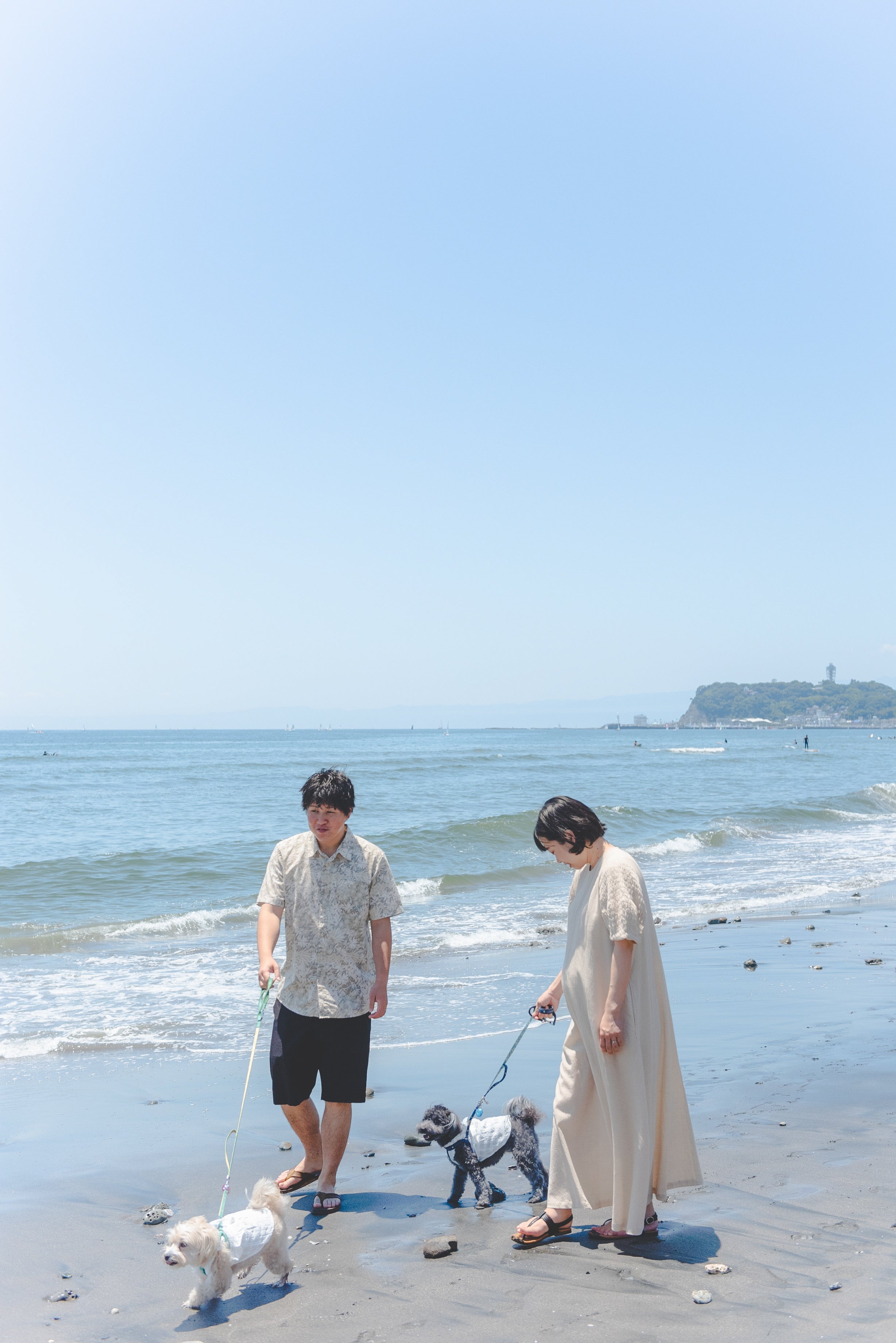 Yama寵物攝影：捕捉東京愛的腳印