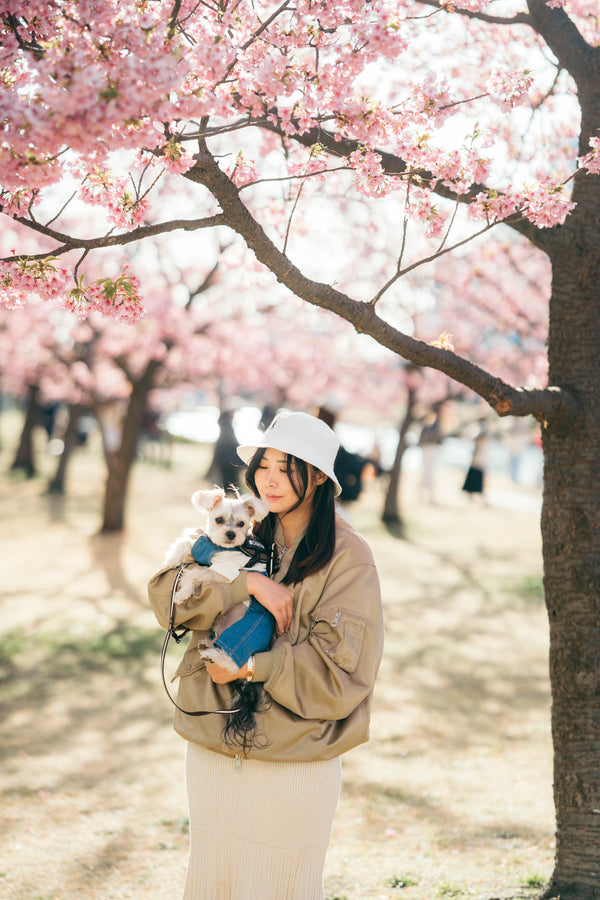 家庭寵物春日照｜河口湖櫻花影藝| Family and Pet Photography | Sakura Blossoms at Lake Kawaguchi