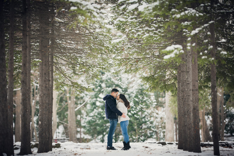 Whispers Winter Love Photos 