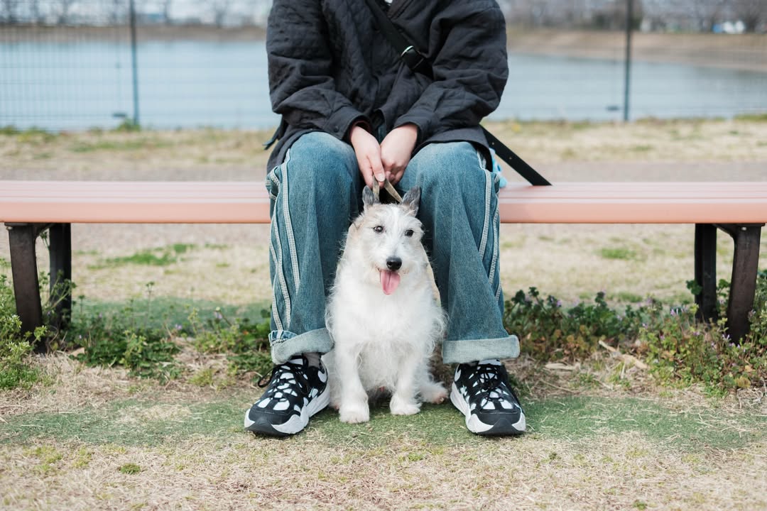把京都的美好時光都收藏起來：Asuka 記錄家人與毛孩最燦爛的笑容