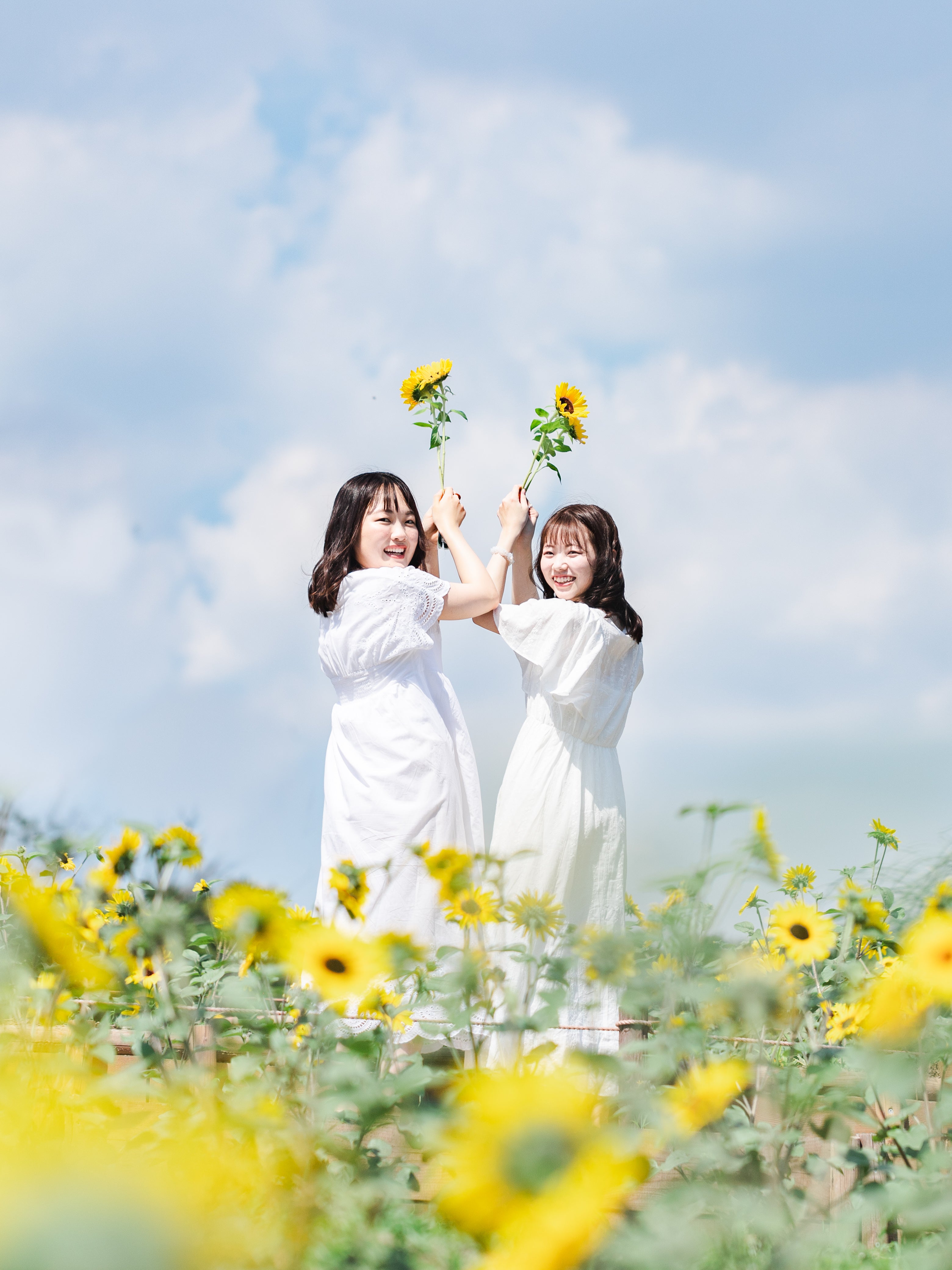 陽光燦爛｜東京向日葵綻放｜好友歡樂時光｜Radiant Sunlight | Tokyo Sunflower Bloom | Besties Joyful Moment