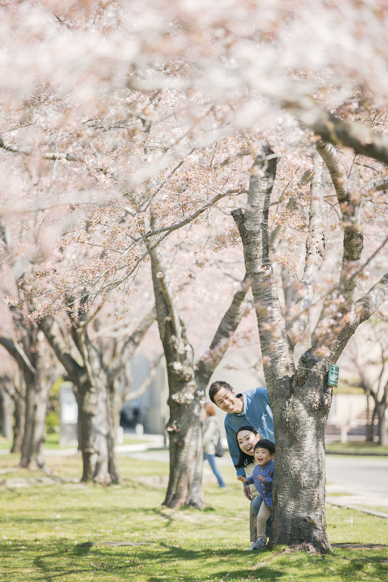 北海道花季：與Tota家庭攝影體驗