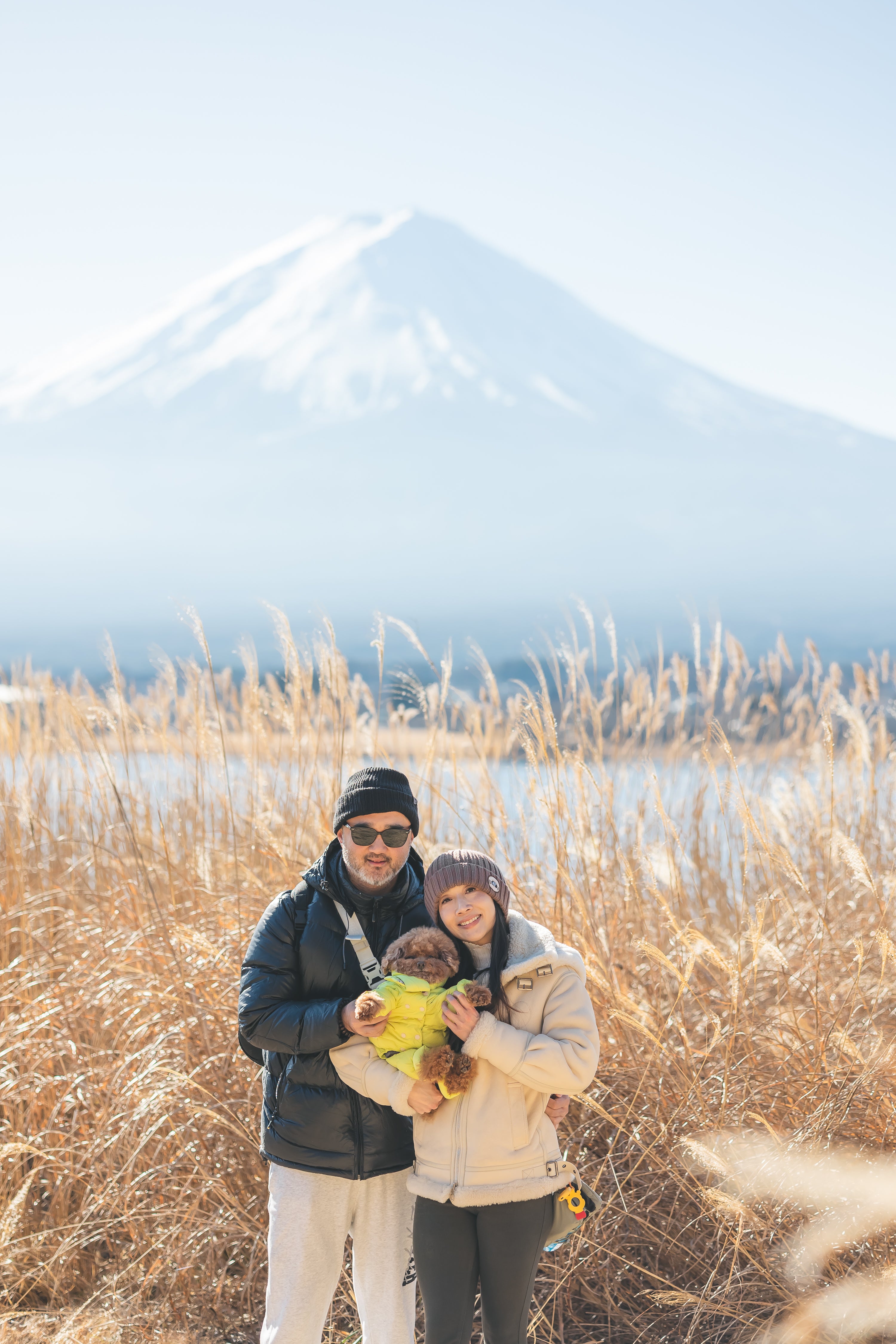 在富士山下的家人與毛孩時光：Do 河口湖家庭寵物攝影