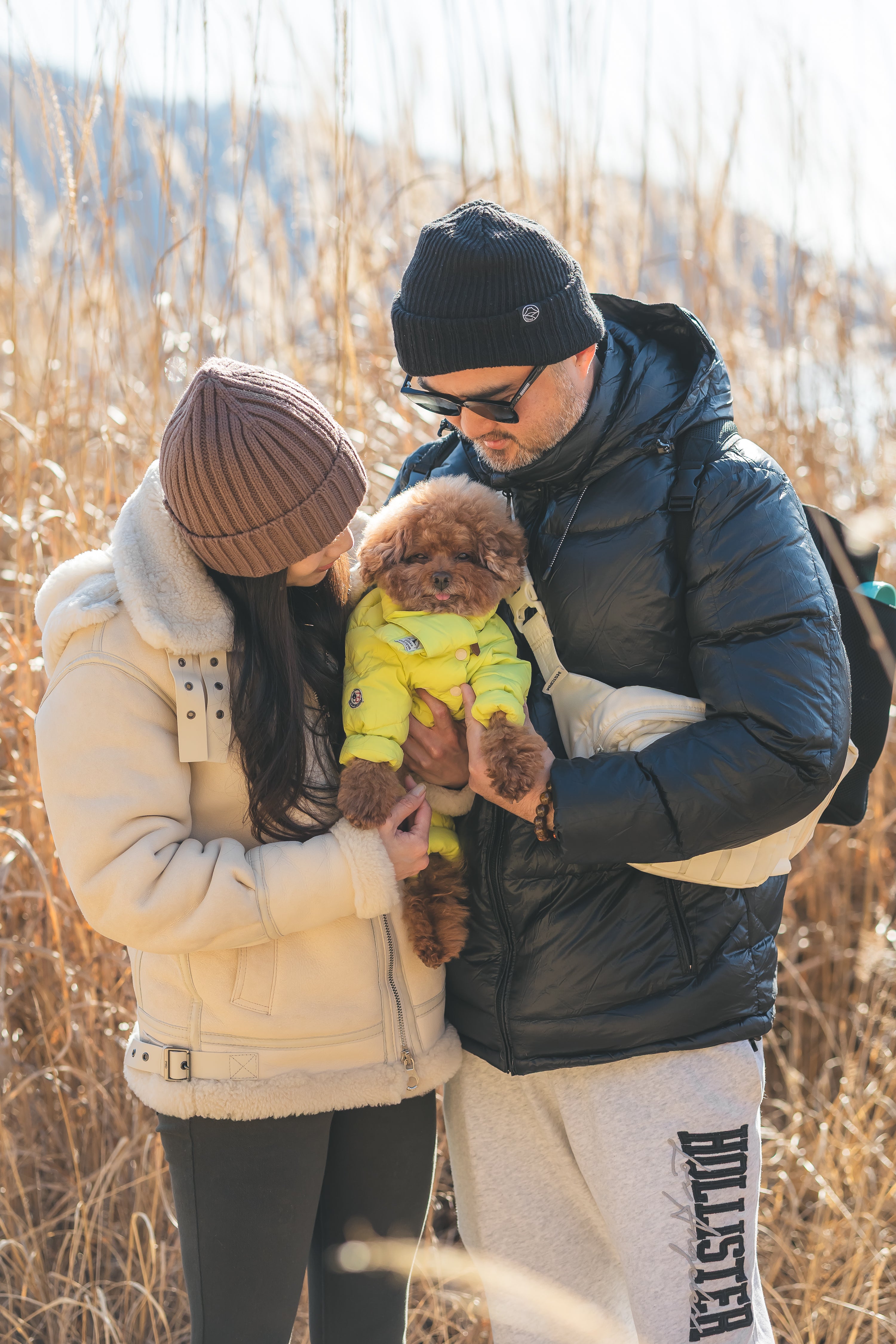 在富士山下的家人與毛孩時光：Do 河口湖家庭寵物攝影