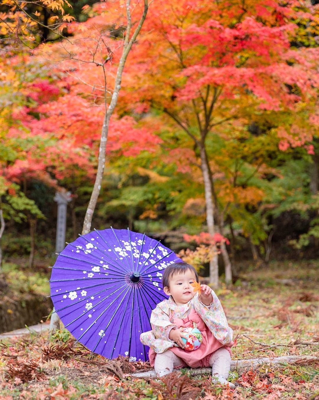 廣島秋日物語：Ericka 家庭攝影體驗