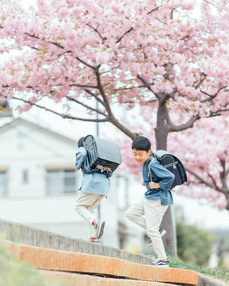 愛在名古屋櫻花季：Ryotaryo家庭攝影