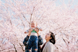  日本度假攝影 |  福岡家庭攝影