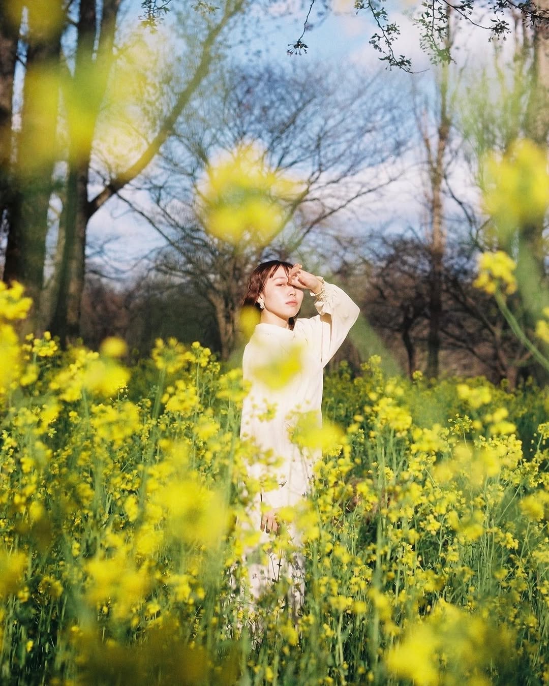 秋田單人獨遊，在 Kim 鏡頭下展現真我！