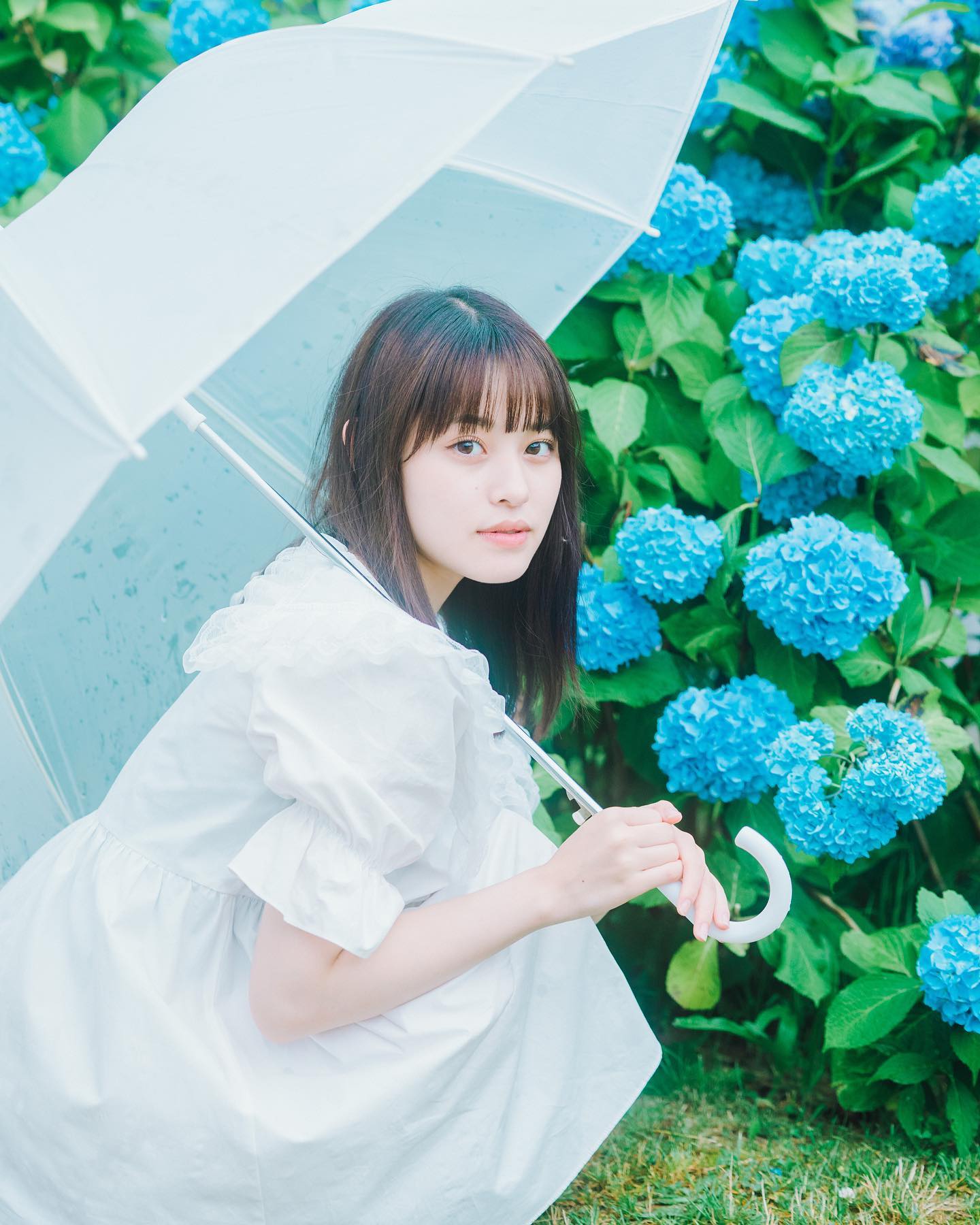 札幌中島公園攝影 | 日本櫻花花攝影