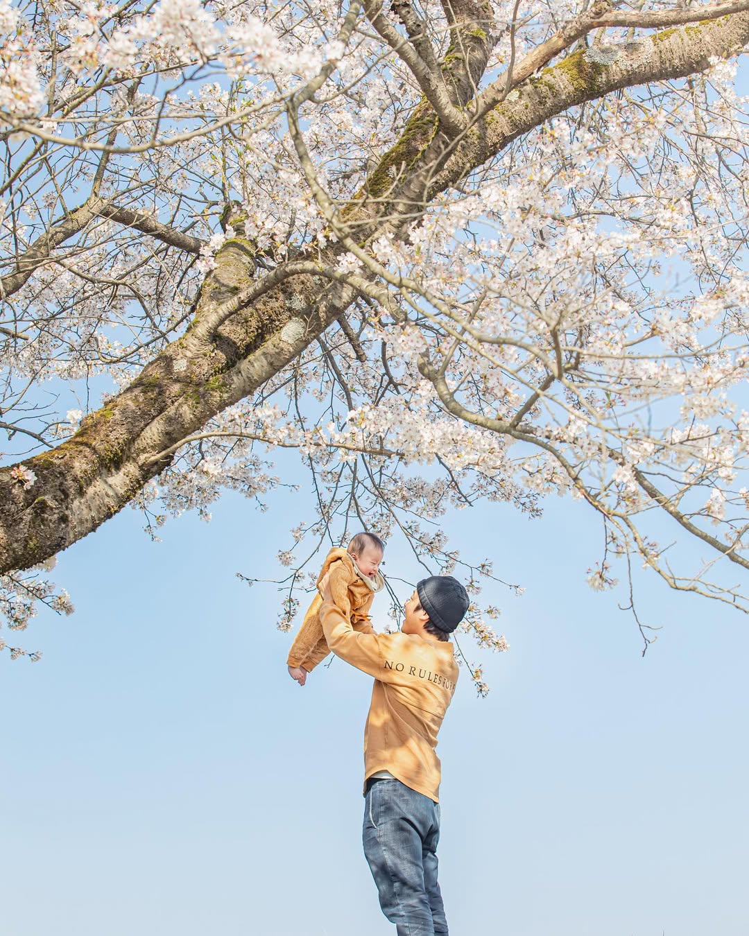 金澤親子照，Maho給你最美回憶！