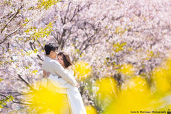  福岡櫻花攝影|  浪漫的專業攝影師日本
