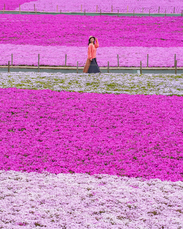 日本花攝影 | 自然美景攝影預約