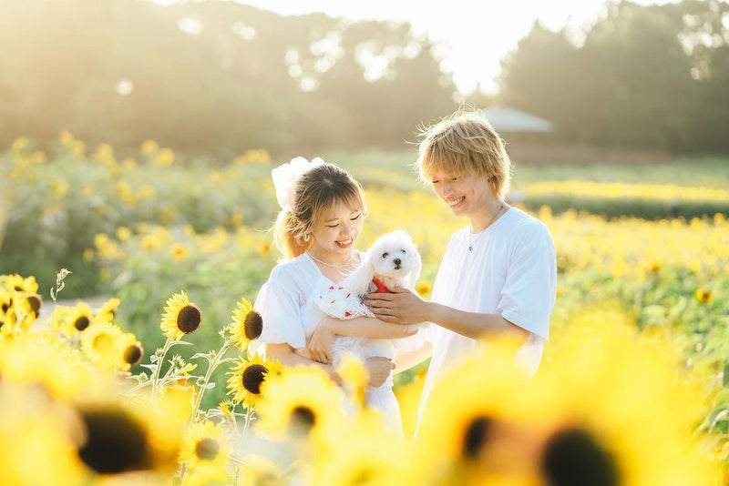 童真｜向日葵親子寫真｜東京寵物馴愛時光｜Sweet Moments | Sunflower Family Portrait | Tokyo Pet Bonding