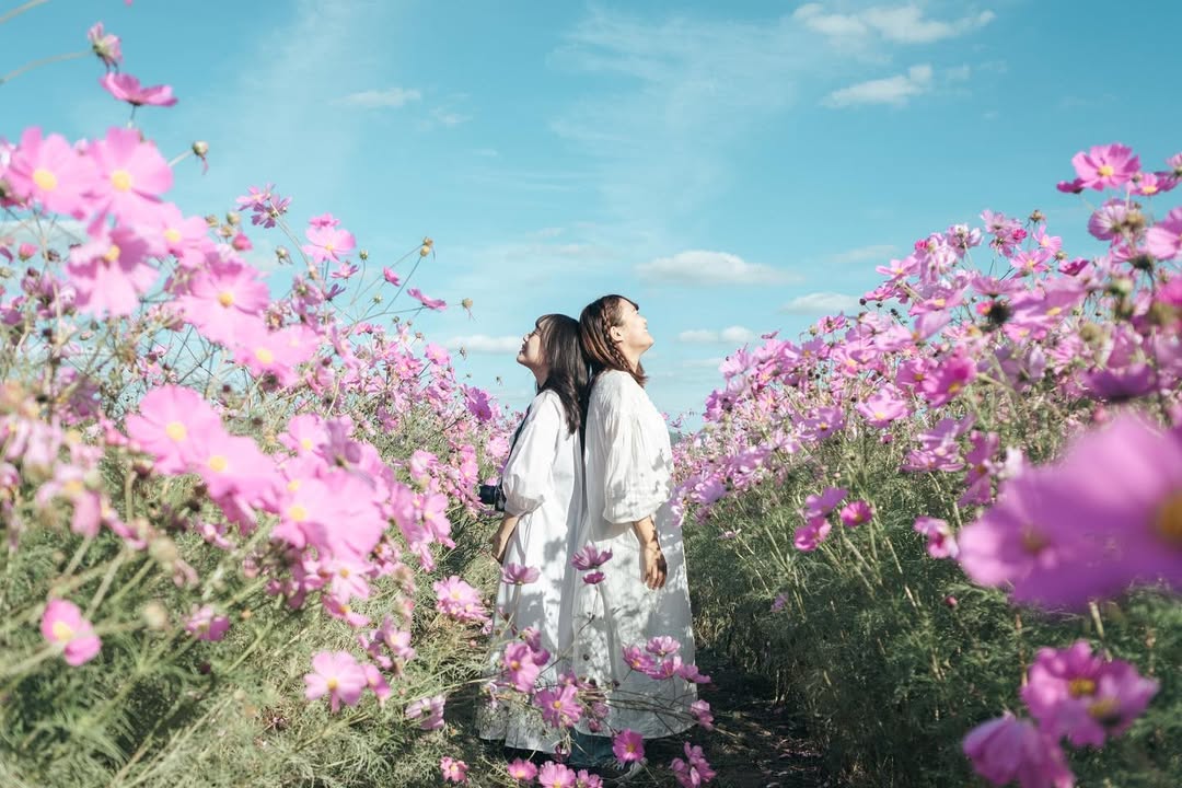 名古屋家庭旅遊：Kura 幫你記錄美好時光