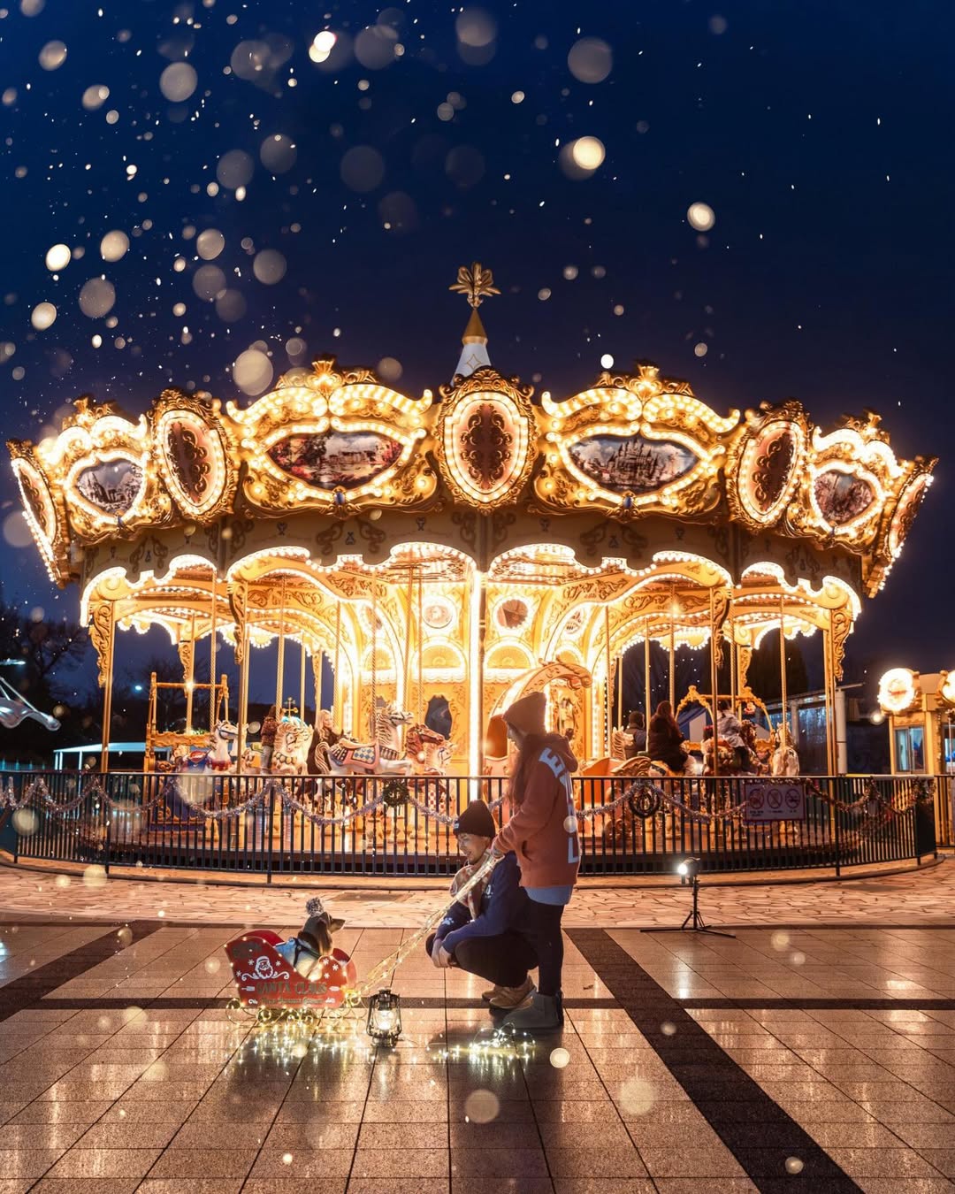 萌力全開！來名古屋讓Leaf 拍出竉物最可愛的一面