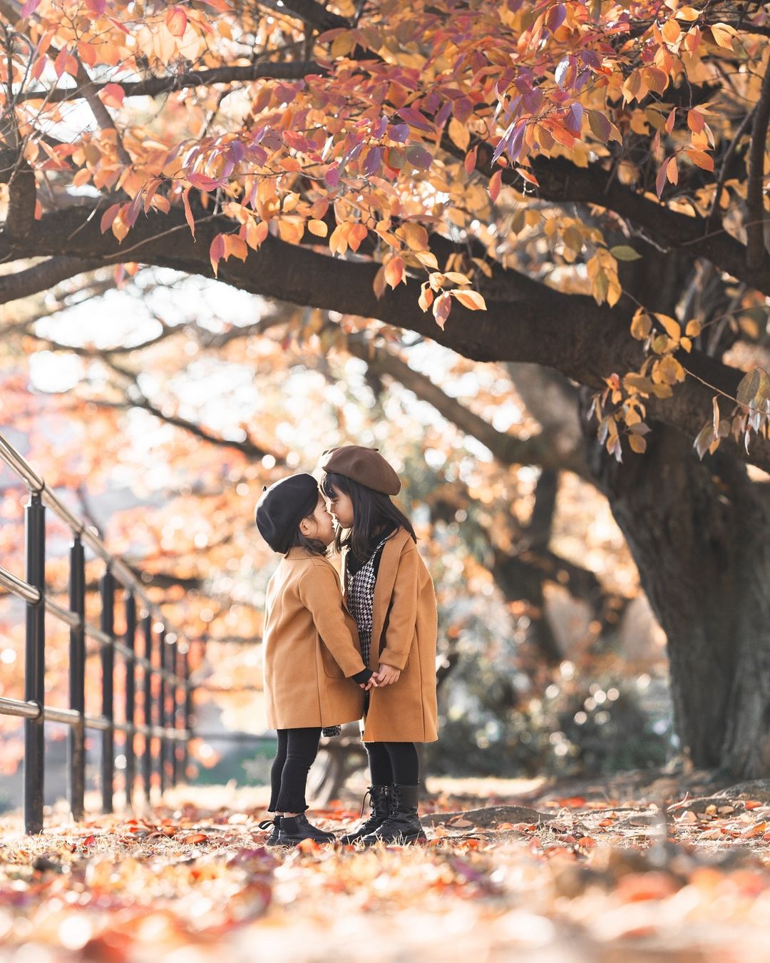 與Yu一起定格秋日美好：廣島家庭攝影體驗