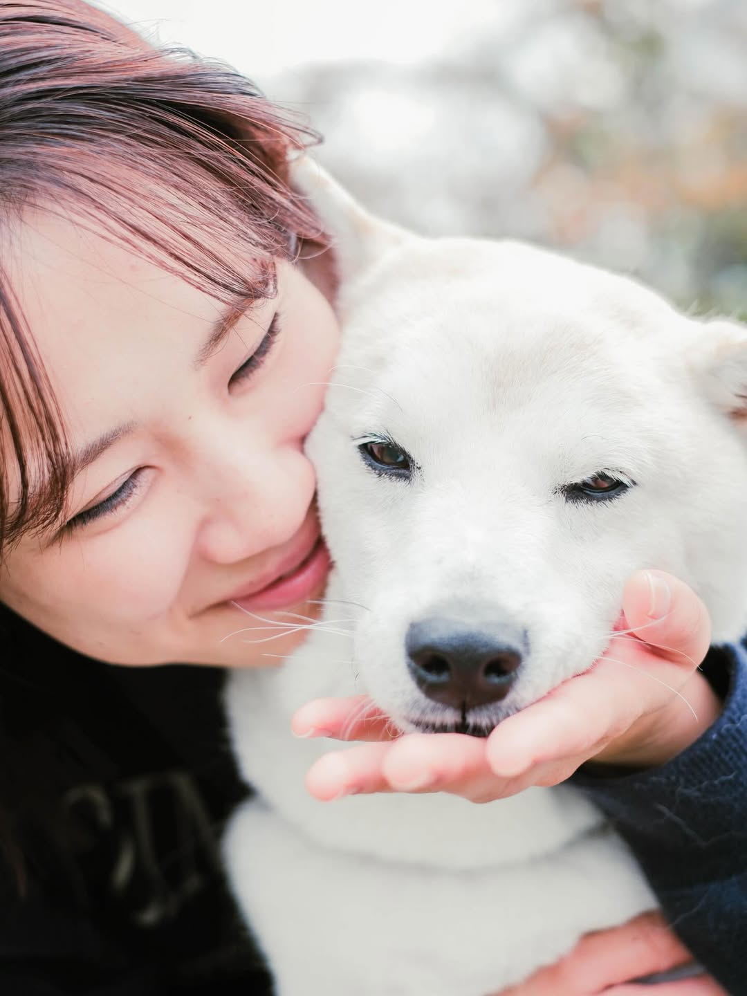 把京都的美好時光都收藏起來：Asuka 記錄家人與毛孩最燦爛的笑容