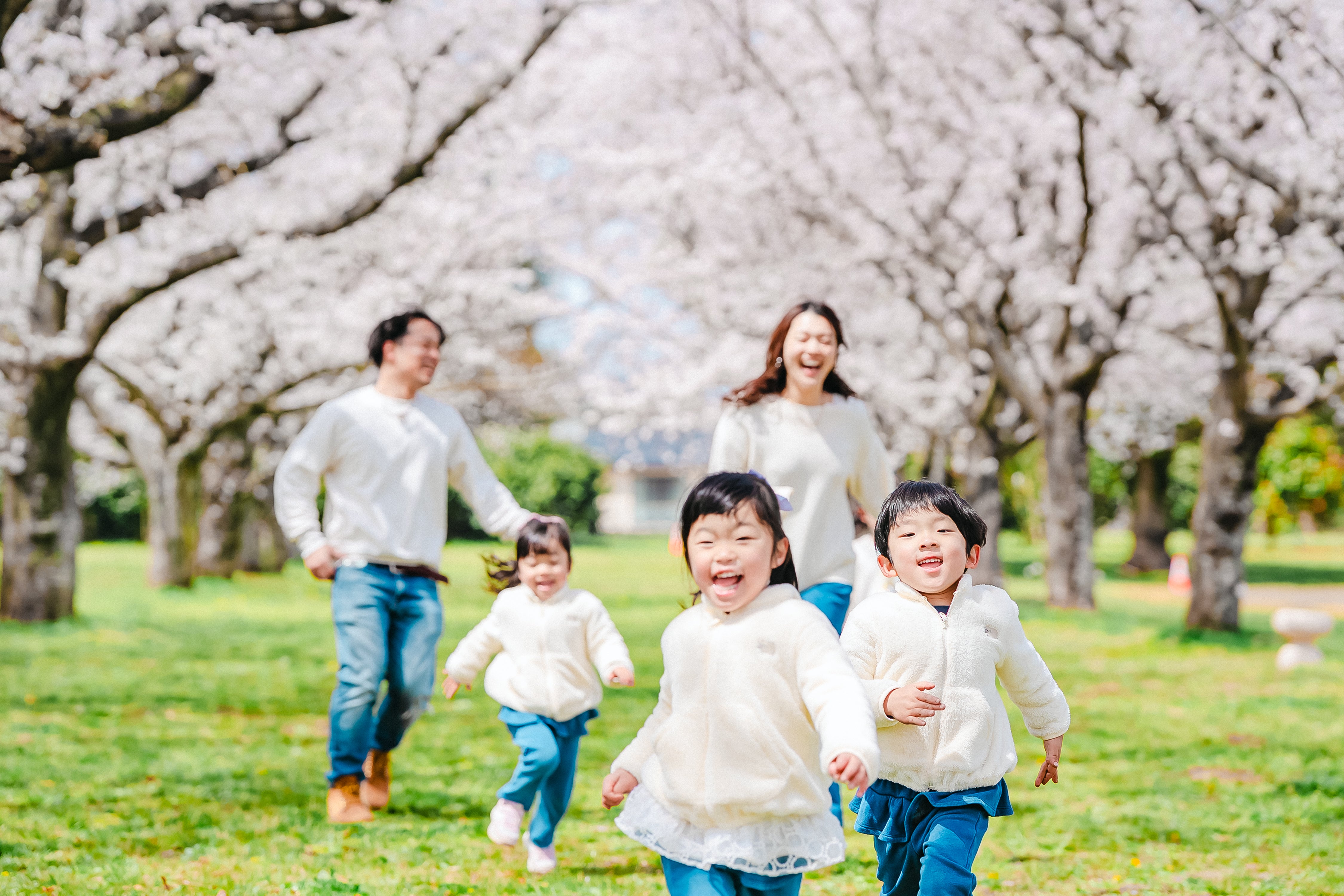 櫻花盛開的福岡時光：與 Ishii 一起留下家庭回憶