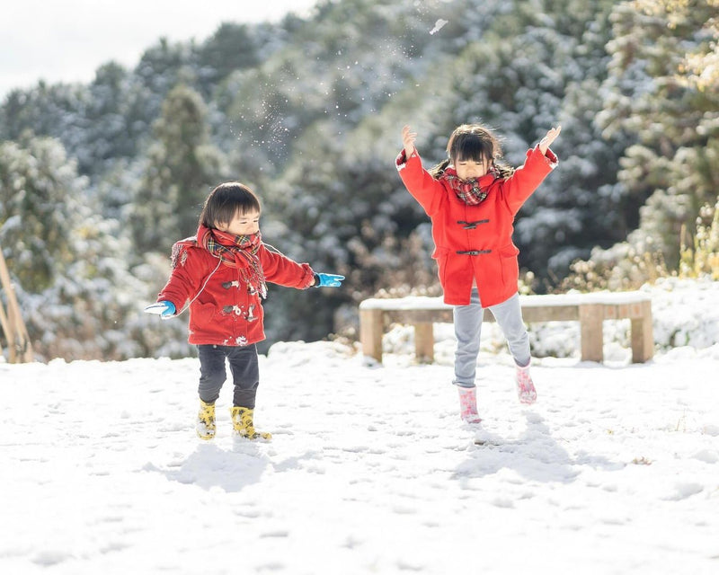 Aiko鏡頭下的雪中嬉戲：奈良親子玩樂記