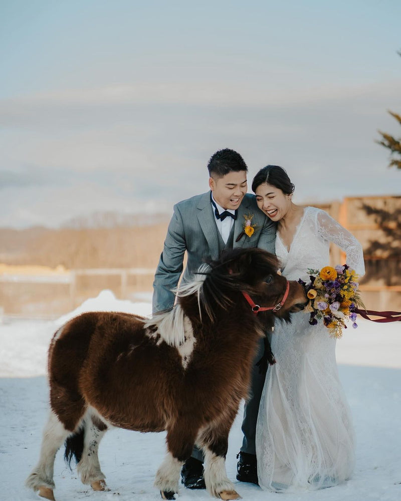 夢幻奇緣： Hin北海道小馬農場婚紗攝影體驗