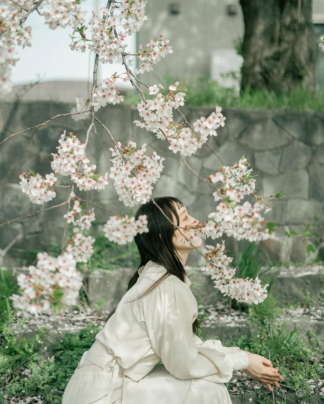 秋田單人獨遊，在 Kim 鏡頭下展現真我！