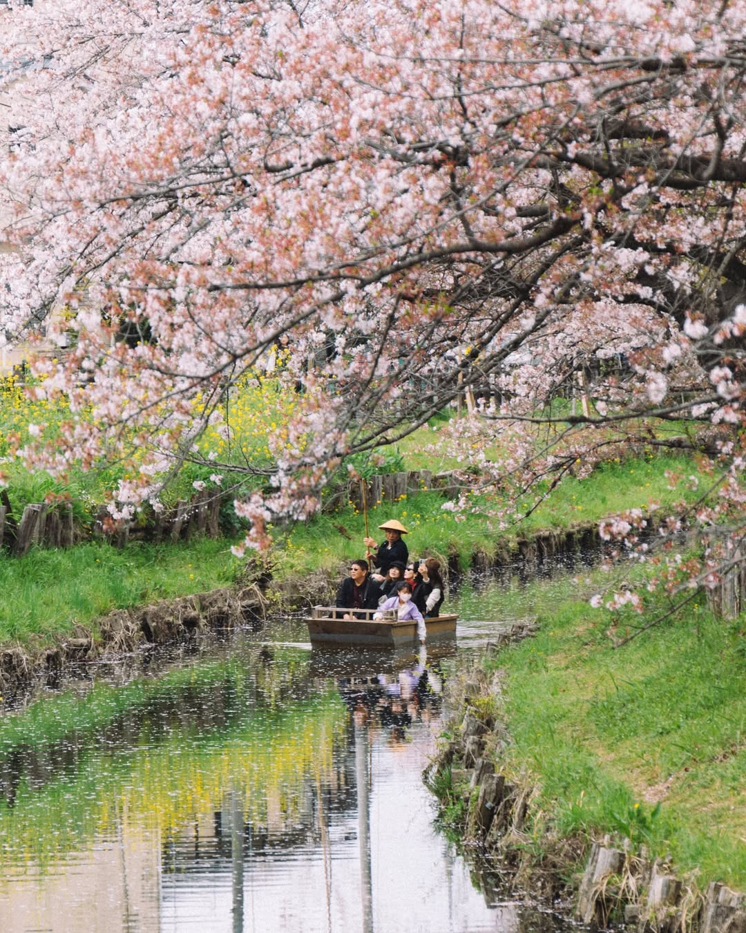 把台灣的日常變成回憶：Frank 為你記錄每一刻