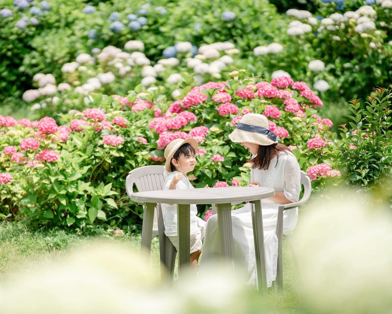 愛在奈良繡球花開時，Aiko親子攝影之旅